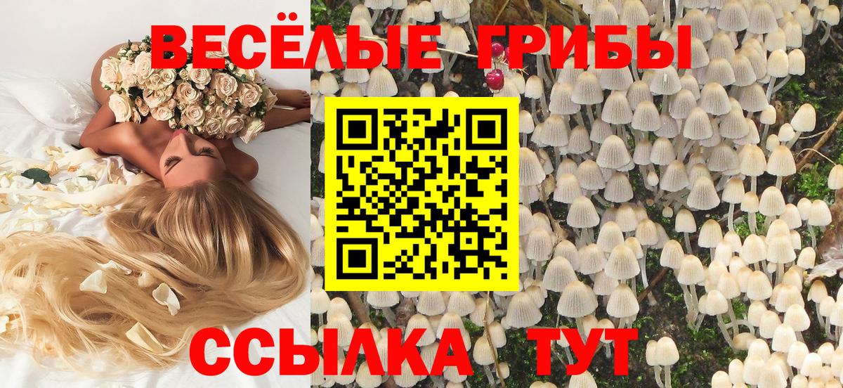 Псилоцибиновые грибы Cubensis Холмск